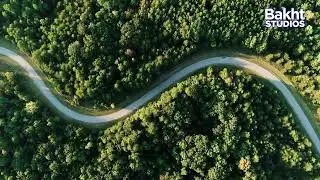 Wooden Roads all the way green belt covered by tall trees, moving fresh water along with the highway