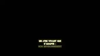 53be41eb 2b28 4680 bb35 2e0f65199851
