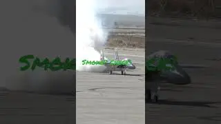 BVM F-15: Smoke? Check!