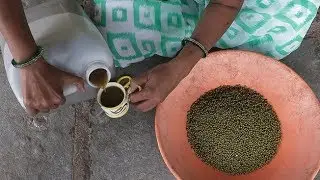 Better seed for green gram (Summary)