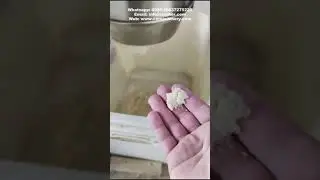 Garlic Paste Making Machine