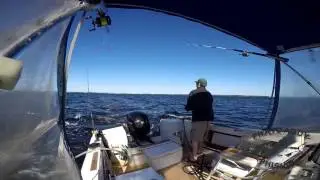 GoPro Spanish Mackerel Fishing St. Andrew Bay 2016