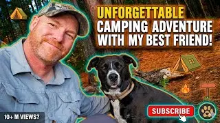 2 Nights solo Camping With My Dog I Algonquin Park 
