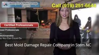 Best Mold Damage Repair Company in Stem NC (919) 251-6644