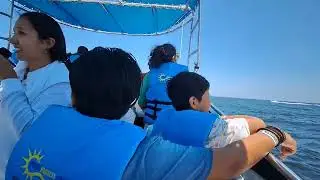 Viaje a Paracas
