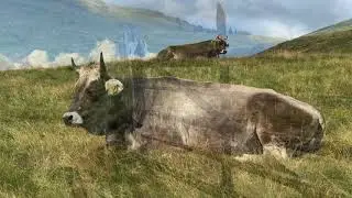 South Tyrol/Italy/Rosskopf/Monte Cavallo //Южный Тироль. Северная Италия. Монте Кавалло (4) (2020)