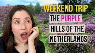 Posbank | Boutique Hotel Beekhuizen | Nationaal Park Veluwezoom |  | Hotel review