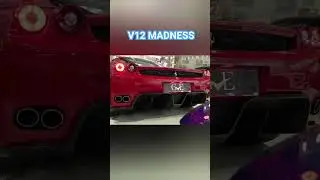 Ferrari Enzo with a straight-piped racing exhaust... 🤤