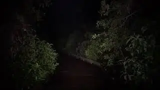 Exploring A Scary Path With ROBLOX Classic Horror Music