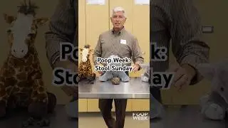 Stool Sunday: Guess the Species (Poop Week)