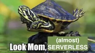 Patrick Debois: From Serverless to Servicefull