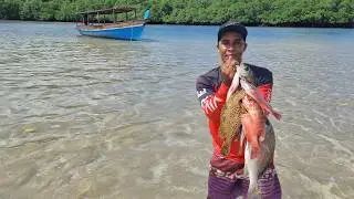 PESCARIA! PREPARANDO PEIXE E CAMARÃO EM UMA ILHA PARADISÍACA