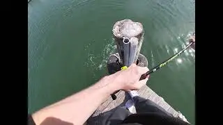 60lb black drum on light tackle, rockport tx.