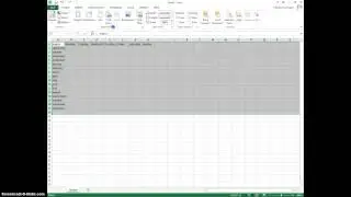 Madison Kannapel-Excel Demo