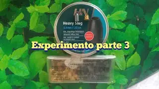 Experimento  slug 5,5 y salva mendoza municion subsonica