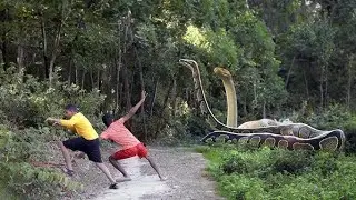 Anaconda Sanke Attack Man In City | Anaconda Snake Attack Boys In Forest | Anaconda !tiger attack,