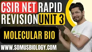 Быстрый пересмотр модуля 3 по естественным наукам CSIR Net | Онлайн-курсы по биологии от Shomu