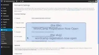 WordPress Settings