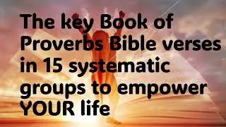 From Scripture to Strategy: Alex Steinberg&rsquo;s Proverbs Framework for Business