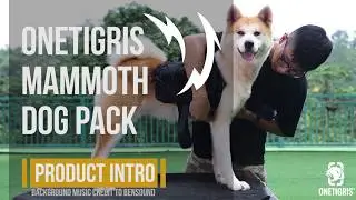 OneTigris MAMMOTH Dog Pack