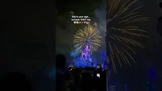 This is your sign!✨ #disney #disneyvlog #disneyworld #disneyadult #disneytrip #magickingdom #holiday