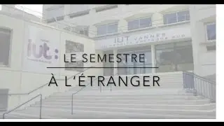 IUT Vannes - Semestre &agrave; l'&eacute;tranger Techniques de Commercialisation
