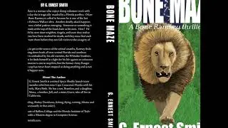 Art design illustration publishing #bookcoverdesigner