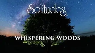 Dan Gibson’s Solitudes - Sparkling Sky | Whispering Woods: Guitar for Relaxation