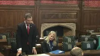 HoC - Legislation Committee - The draft Electricity Capacity Mechanism Regulations - 07/01/2025