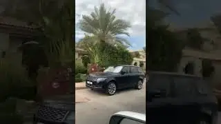 Golden Lamborghinis in Dubai #rich #mensworld #shorts