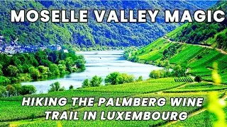 Moselle Valley magic | Hiking the Palmberg wine trail in Luxembourg