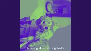Distinguished Smooth Jazz Saxophone - Vibe for Dog Walking