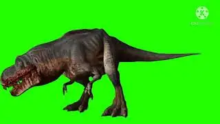 T-Rex Dinosaur Green Screens