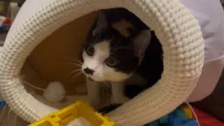 Small cave tells my instinct something