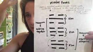 Explanation of Winter forms (water - earth - water forms)