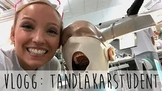 vlogg: Tandläkarstudent
