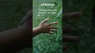 motivacao #bemestar #mentesaudavel #sucesso