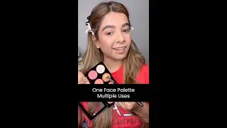 One Face Palette, Multiple Uses