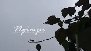 NGIMPI, Film Pendek SMPN 1 Pejawaran Kecamatan Pejawaran Kabupaten Banjarnegara