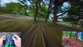 Speeding in the forest | FPV Freestyle