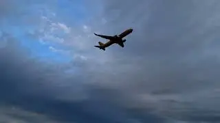 DHL 767-300 Roaring out of EGNX