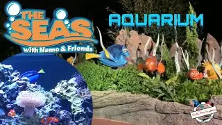 We Explore the Aquarium at Disney&rsquo;s The Seas with Nemo in EPCOT! #WDW #nemo #aquarium #dory #epcot