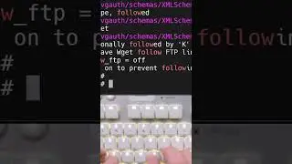 grep command Kali Linux