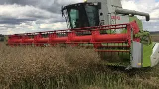 Рапсовый стол ZURN (Зюрн)  на Claas MaxFlex 930, ріпаковий стіл