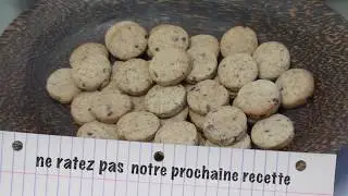 INSECTOPIE EN CUISINE : RECETTE BISCUITS CHOCOLAT - INSECTES