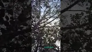 UNAKKUL THODANGI UNAKKUL THAANAE | ANGADI THERU | TAMIL LOVE SONGS WHATSAPP STATUS | SLOW-MOTION