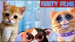 Feisty Kittens Troublemakers Compilation!