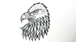 How To Draw A Cool Bald Eagle l How to Draw a Bald Eagle 🦅