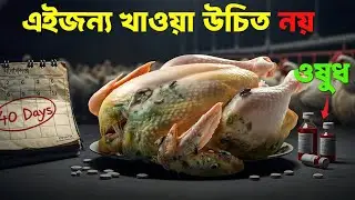 বয়লার মুরগি কেন আমাদের খাওয়া উচিত নয় ? Broiler chicken: Should we eat it or avoid it?