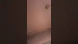 شقه العشرين بفيصل